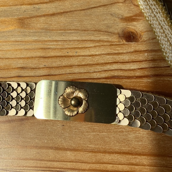 Vintage Scale Belt - Picture 4 of 6